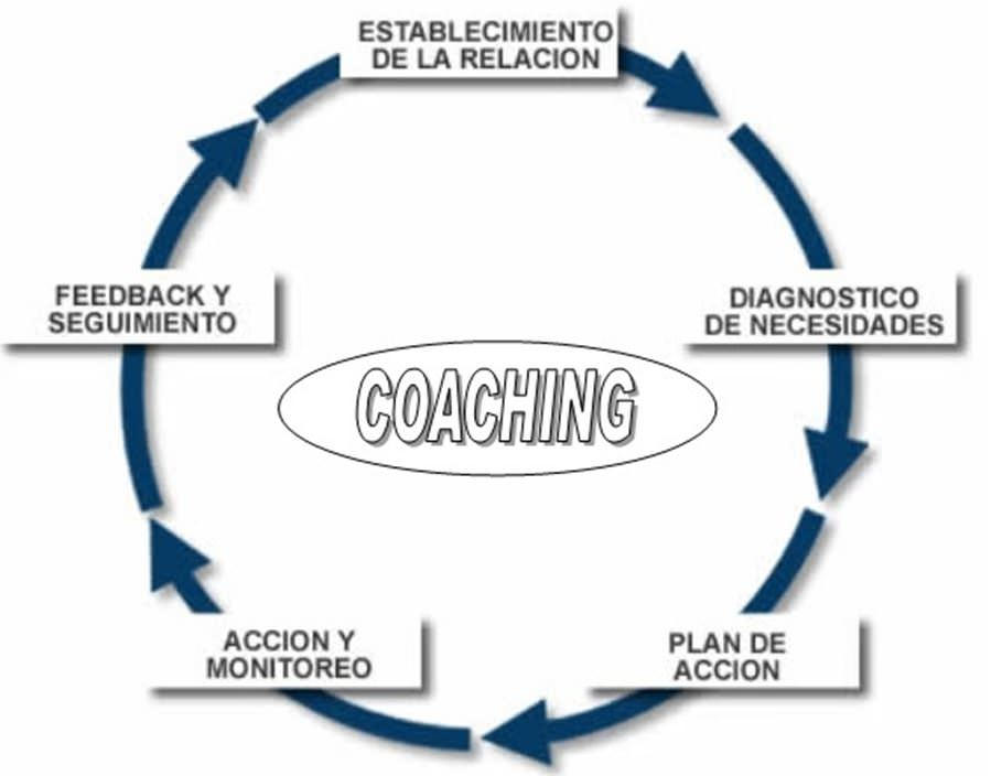 Proceso De Coaching Empresarial 9257